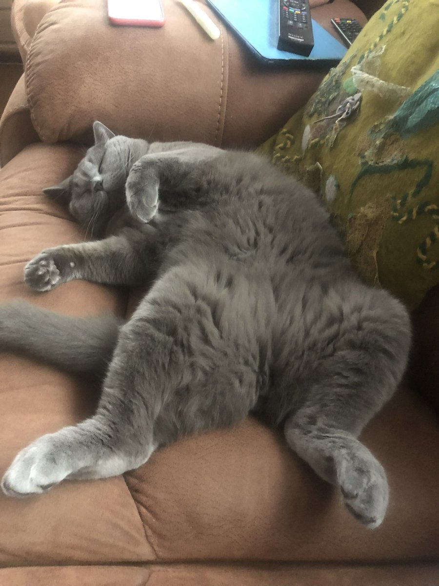 benscomsica1973 tweet media