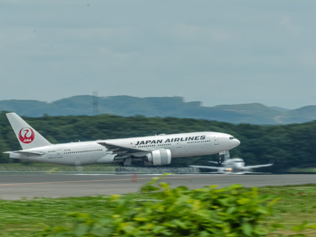 JA01ME's tweet photo. 7月09日ってことで“709”
昨日が「なおや」なら
今日は「なおき」かな
#JA709J
#N709AA https://t.co/6vmUYi2Ecw