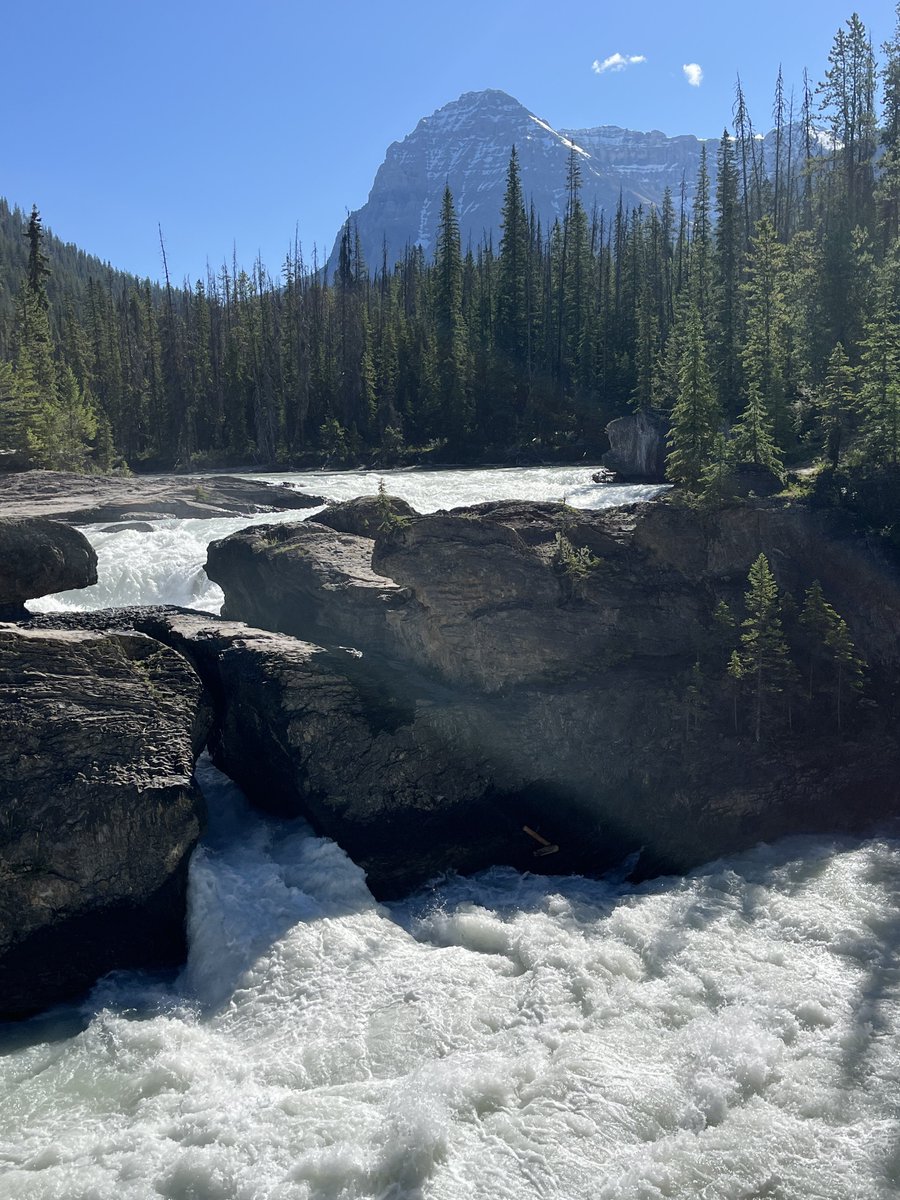 sallymauk's tweet photo. After this trip, I’m tempted to spend every American holiday in Canada…
#northernneighbor https://t.co/jn5TvZlI1D