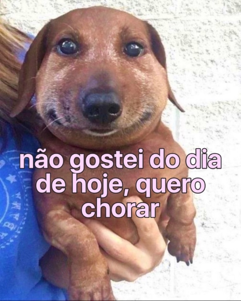 kkkkkk sim