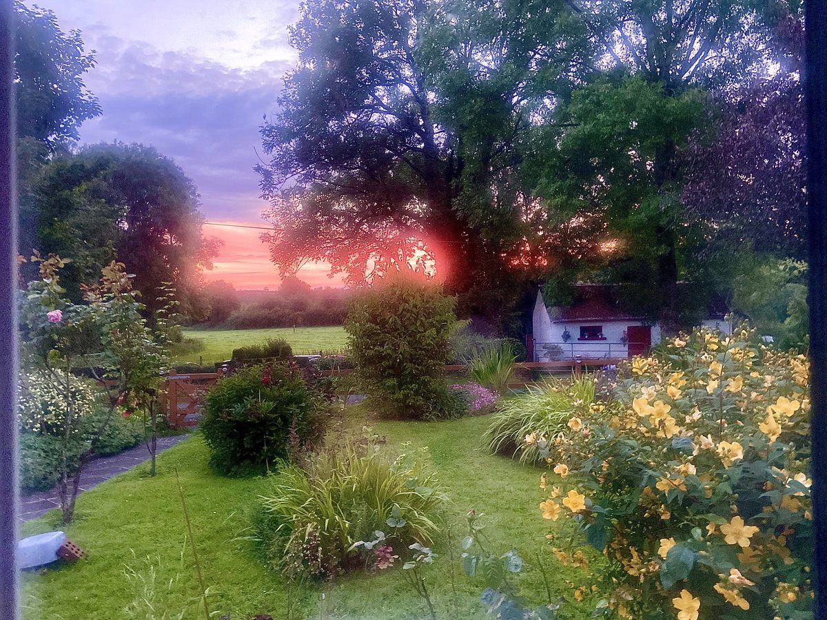 mtully21's tweet image. #ViewFromTheWindow
#RedSkyInTheMorning
#ShepherdsWarning
4.45am. No words needed.
This Is Cavan.
And it’s Good.