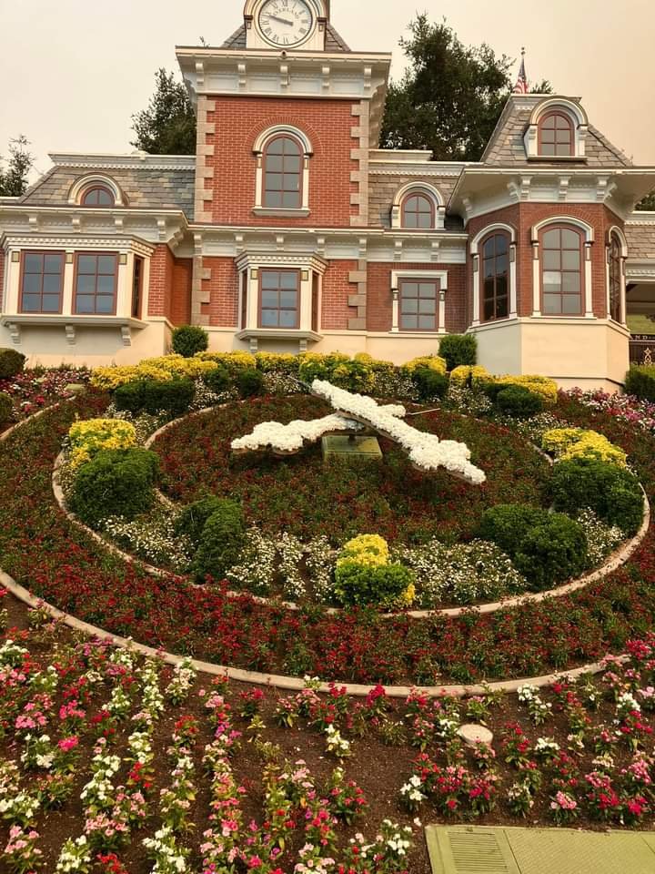 Nievecitas 💙 tweet media