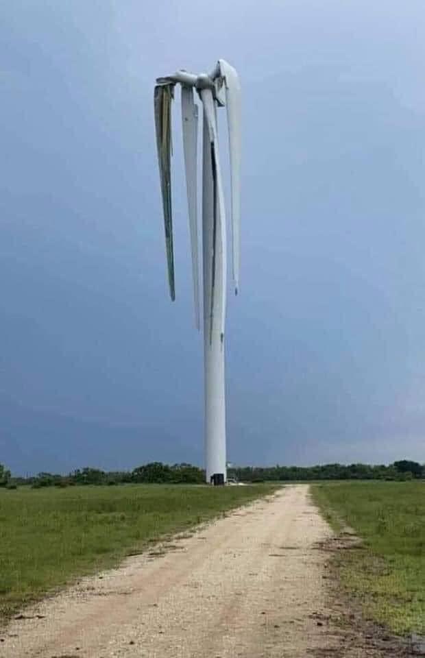 Texas 🇺🇸 tweet media