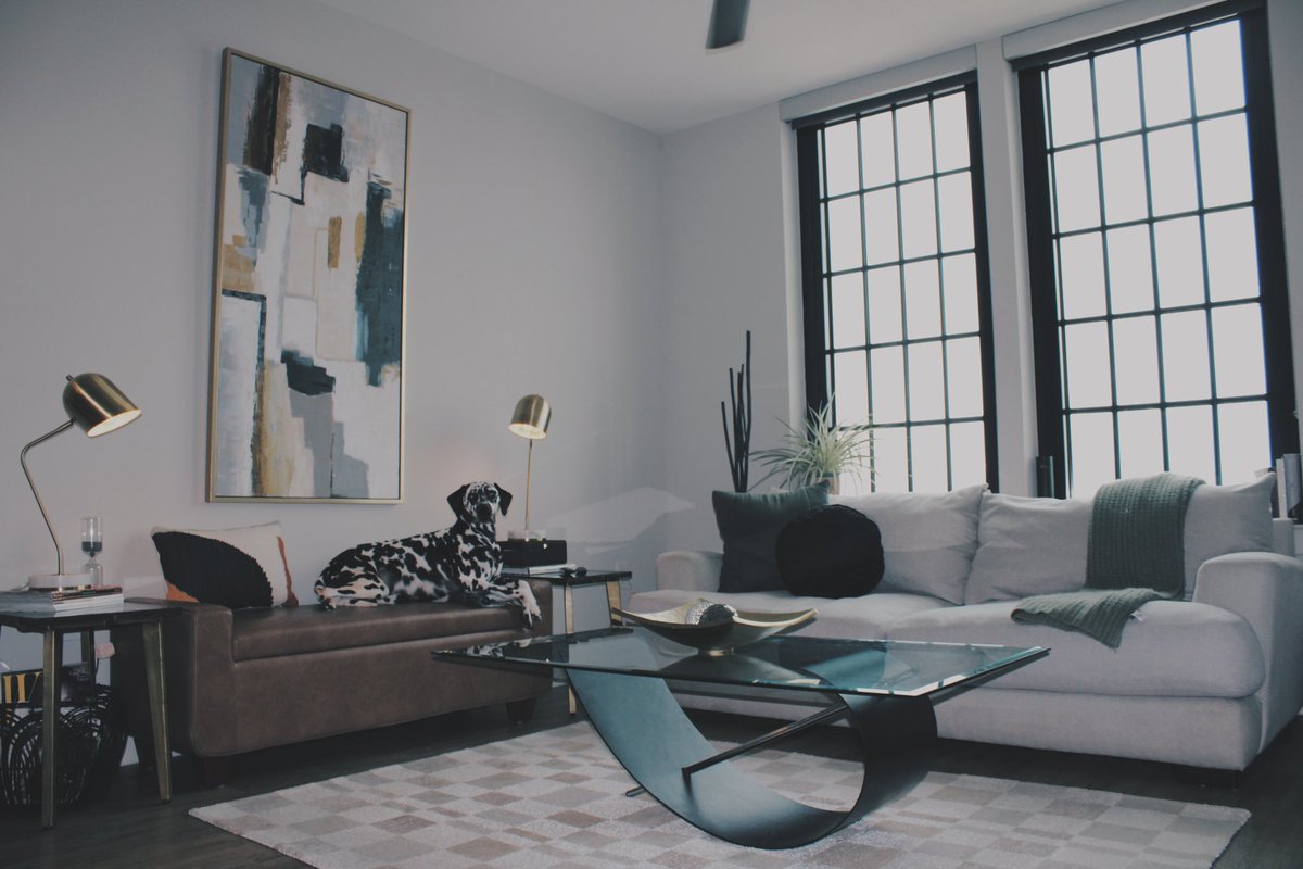 king5amm13's tweet photo. My dog wanted to pose for me today! 📸
So here are our living room refresh photo extravaganza 😘💯😍 https://t.co/IGG7eqiPJF