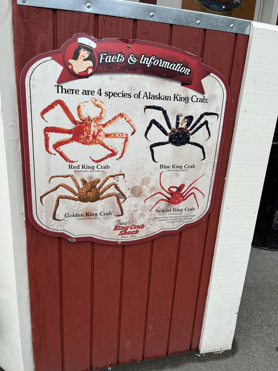 rblchiu's tweet image. June 24, 2024 - Day 3 - Juneau, Alaska
Tracy’s King Crab - must eat if you are in Juneau!
#Koningsdam #HALcruises #HollandAmerica