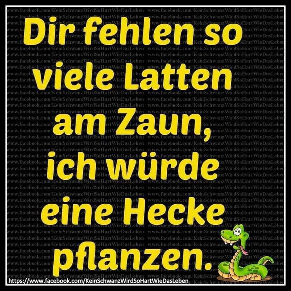 Thomas Hautzel tweet media