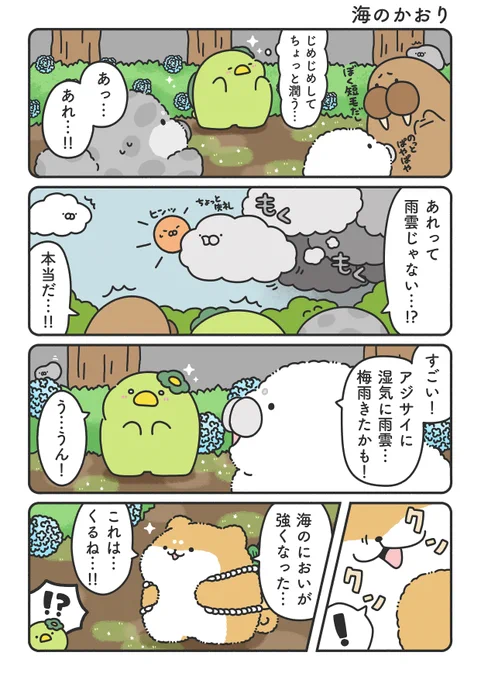 海のかおり( ˙ ꒳ ˙ ) 