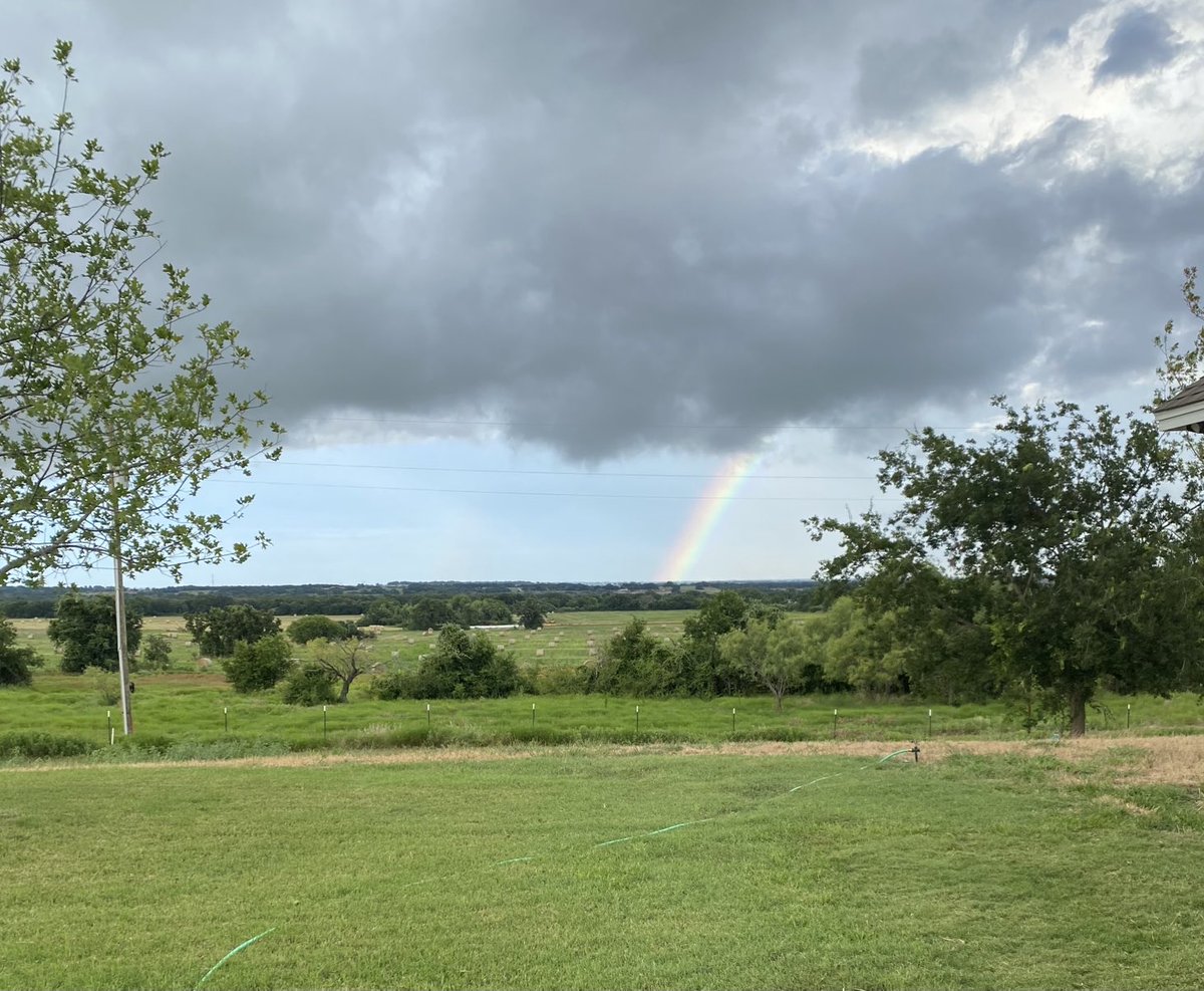 libertyladyusa's tweet photo. We had several heavy downpours today from the outer bands of the Hurricane Beryl.
As the clouds cleared this evening God blessed us with His promise with a beautiful rainbow! #Beryl #txwx #ErathCounty ☔️🌈 https://t.co/SsPOhsnpit