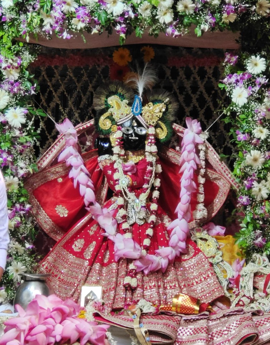 banke_shri's tweet image. आज के दर्शन ठाकुर श्री बाँके बिहारी लाल जी