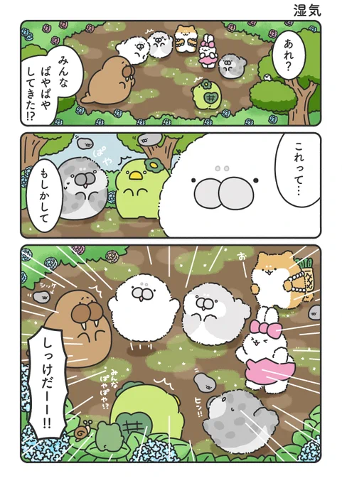 湿気( ˙ ꒳ ˙ ) 