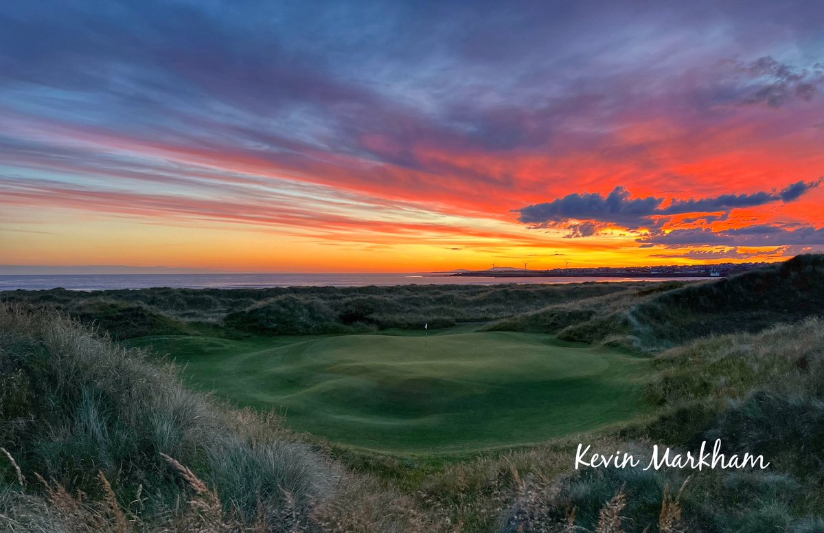 Kevin Markham tweet media