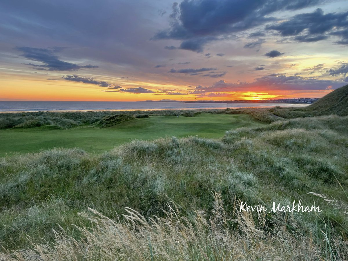 Kevin Markham tweet media