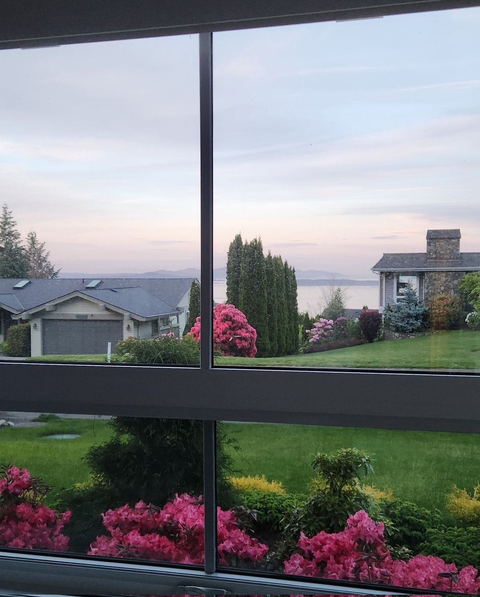 Missy_Ly's tweet photo. There's something so profoundly satisfying about finally living in a place you dreamed of moving to, and finding out that it was everything you thought it would be. I've never felt so lucky, so grateful, so at peace. #VancouverIsland #TheresNoPlaceLikeHome 💚💙 https://t.co/TlP2bfoP8V
