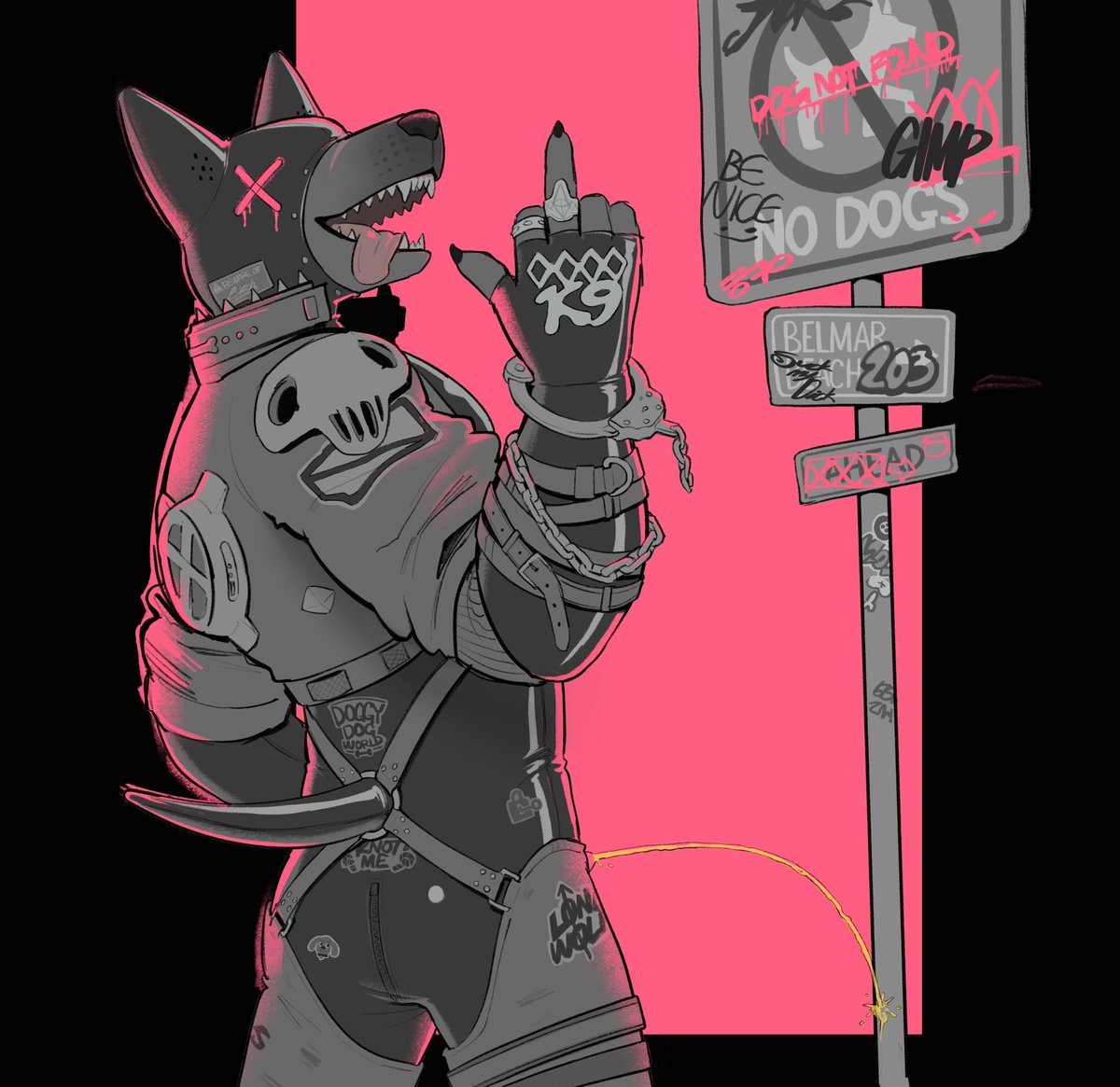 No dogs