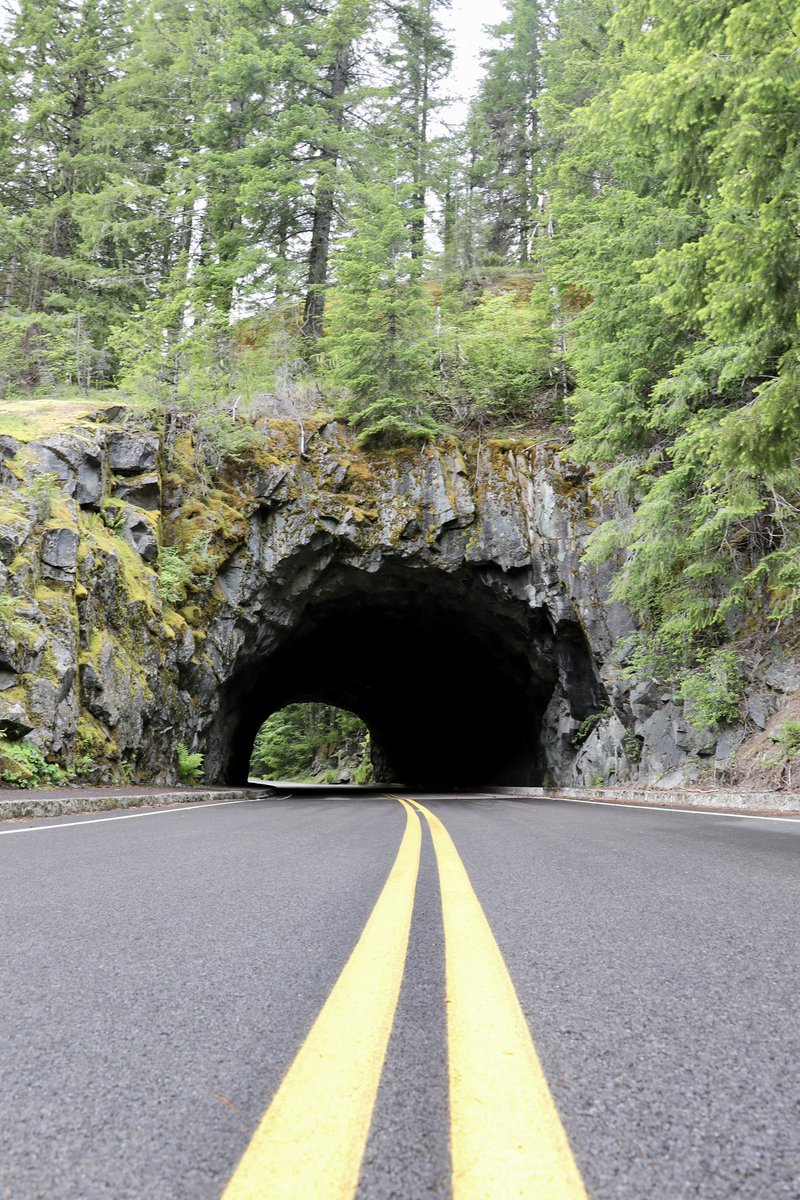 MARIAH HABERMAN tweet media