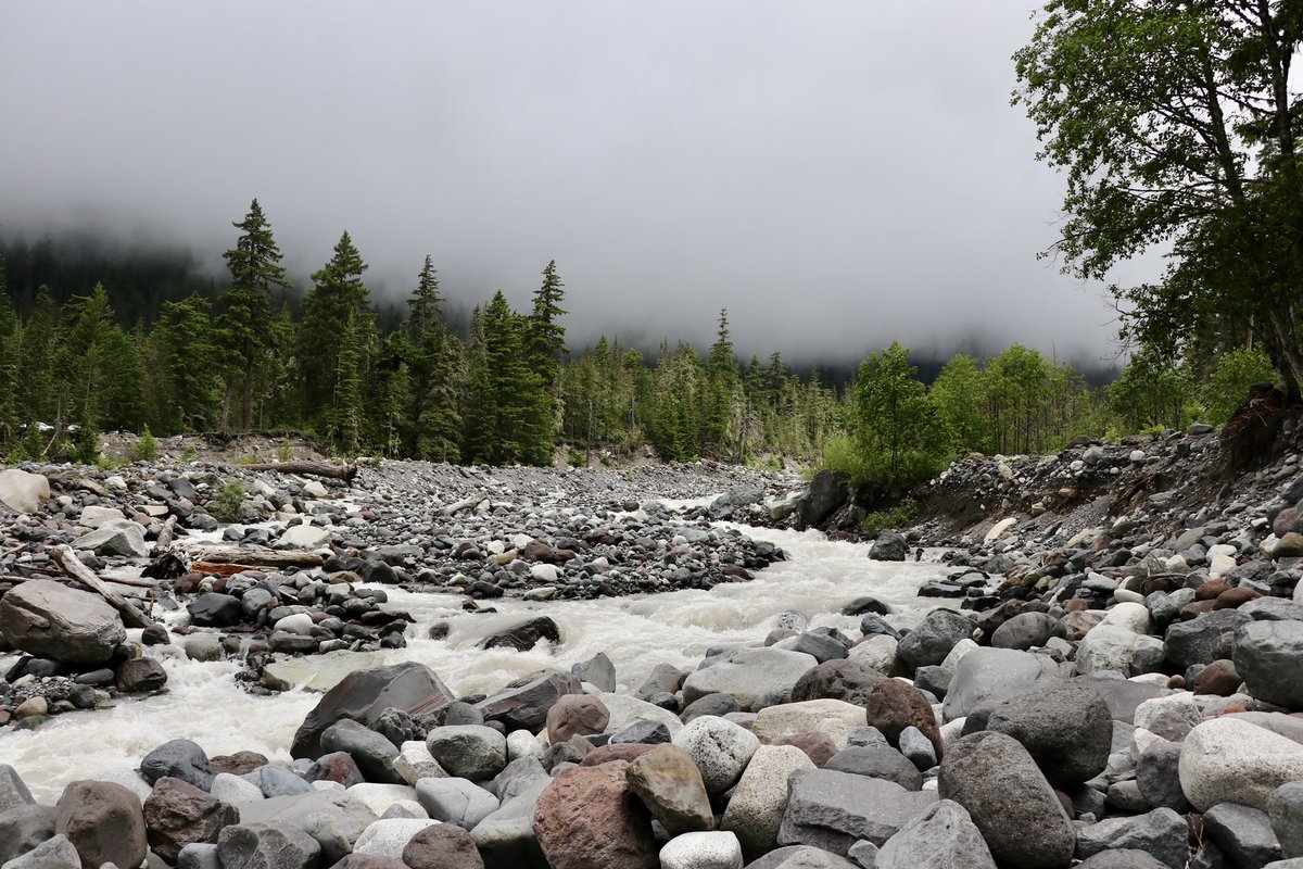 MARIAH HABERMAN tweet media