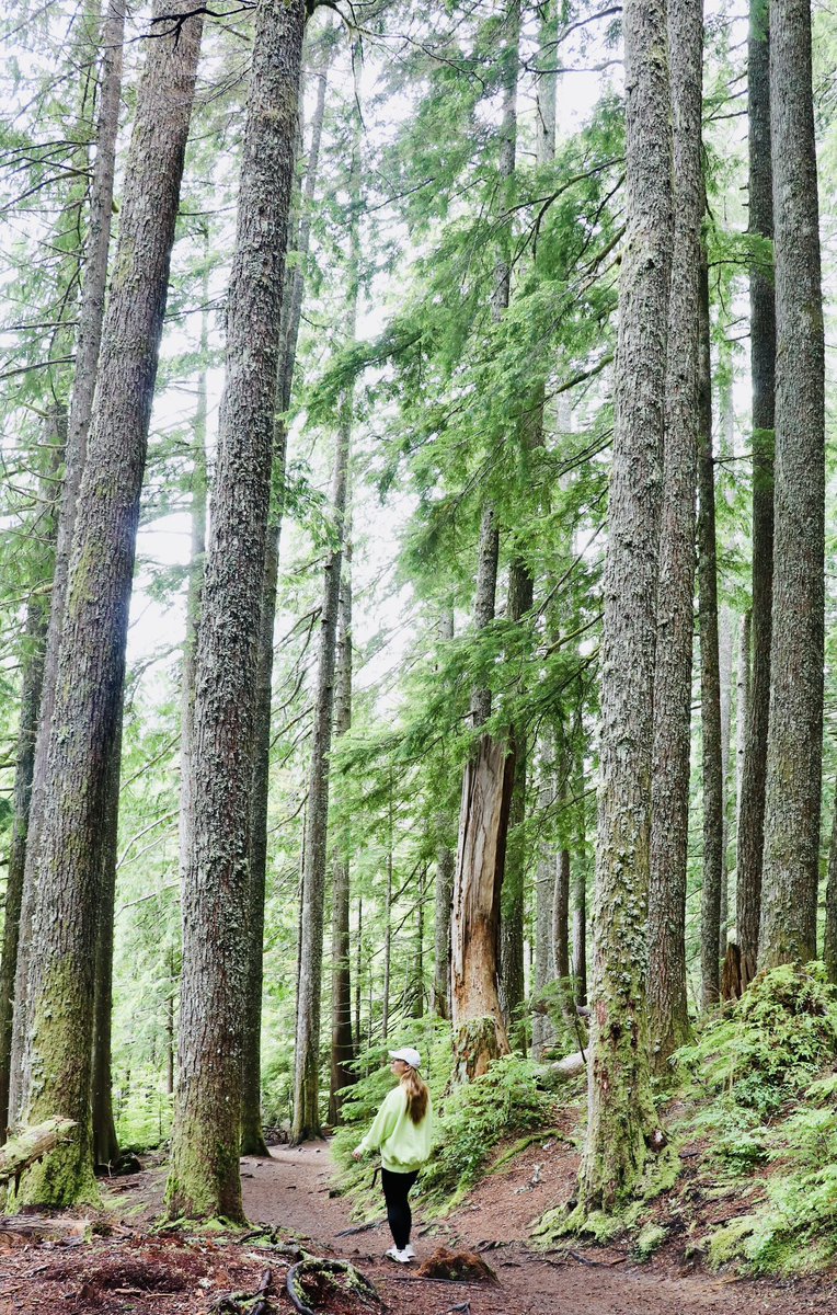 MARIAH HABERMAN tweet media