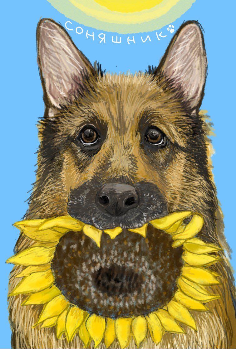 #SunflowerFromJapan
#PrayForUkraine
《Я знаю, що це таке》🐶
🫂