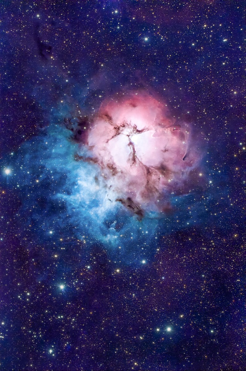 quarkmarc's tweet image. The firework of the Milky Way core. This is the Trifid Nebula, a collection of Reflection, Emission, and Dark Nebula beating away amongst some of the most star-dense portions of the sky! This also represents the first light taken with my permanent telescope setup!