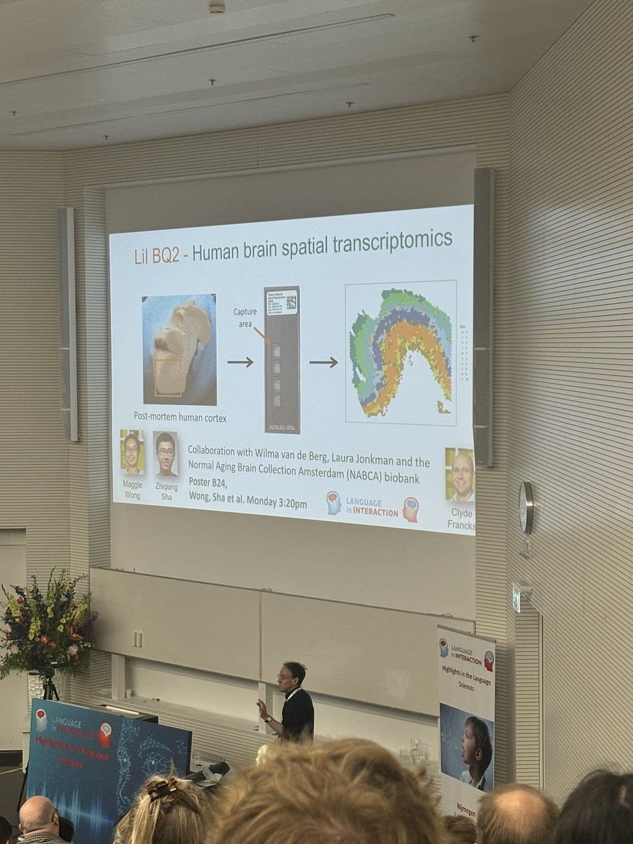 multilingwist's tweet photo. some highlights from yesterday #HILS2024 https://t.co/NsQzadaQ5u