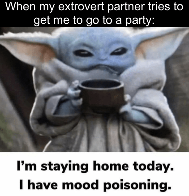racheli60's tweet photo. This hits me in my soul haha sometimes I am all for it, but these days if I can't wear a robe and bring my dog I'm not going 😅 #MCO335 https://t.co/6Xm3wD2IVj