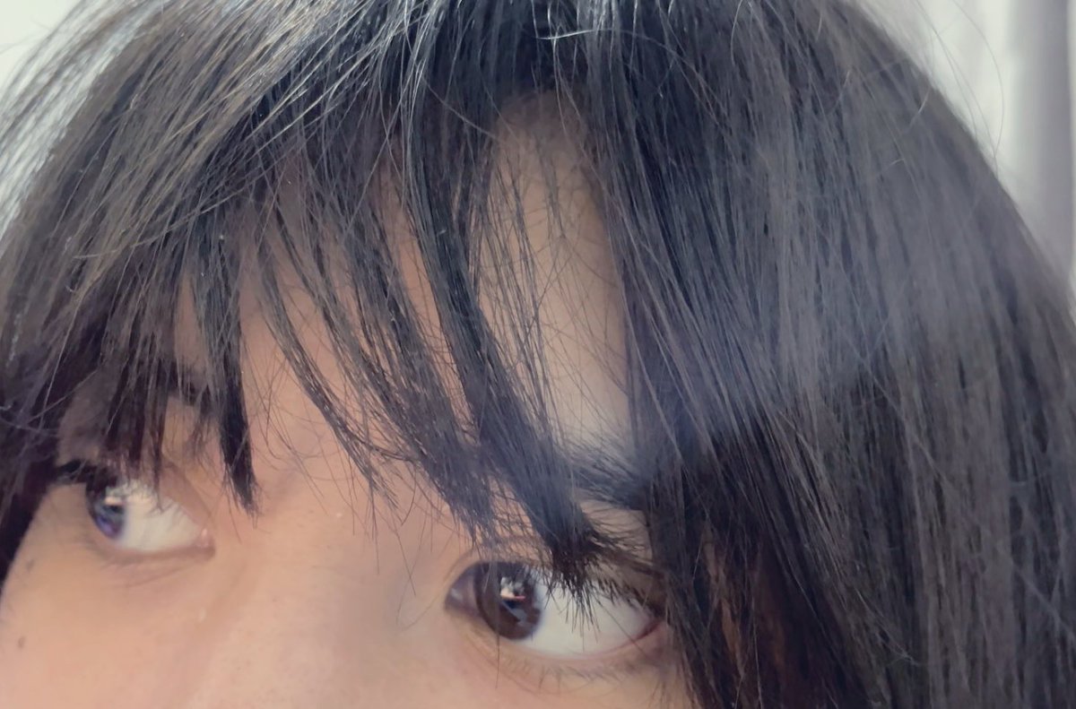 eunkul_yna's tweet photo. Gave myself bangs… https://t.co/VYT3wDmDjg