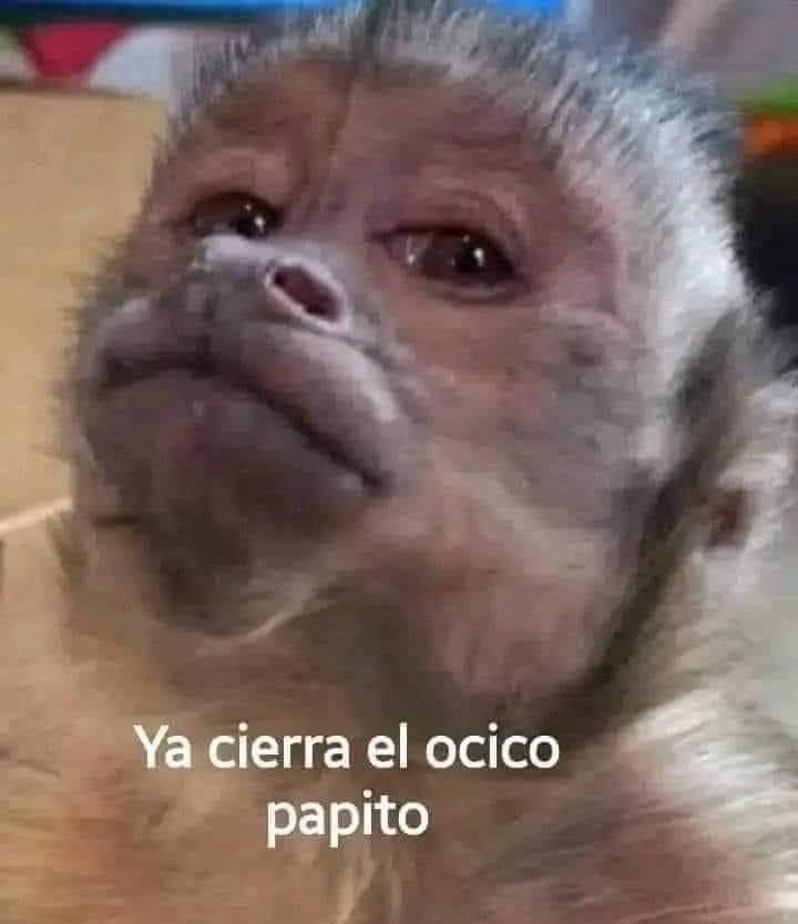 cjoako4's tweet photo. @MastropieroJS Aprende a escribir, eso sería lo primero que tendrias que hacer. https://t.co/S6SCpO0bX1