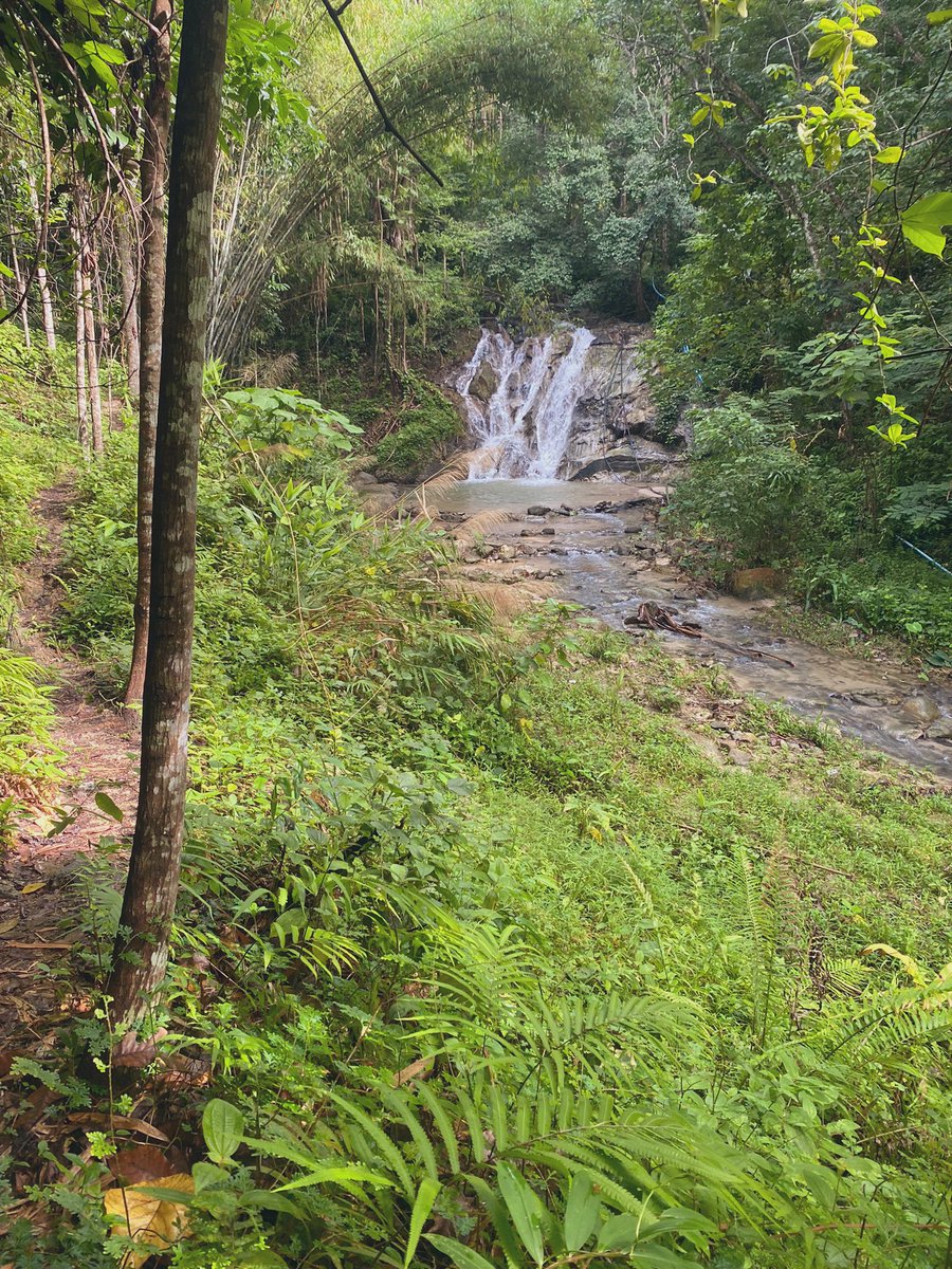 Prachasuk2's tweet photo. น้ำตก ลับๆในจังหวัดภูเก็ต https://t.co/VFZzl6G69l
