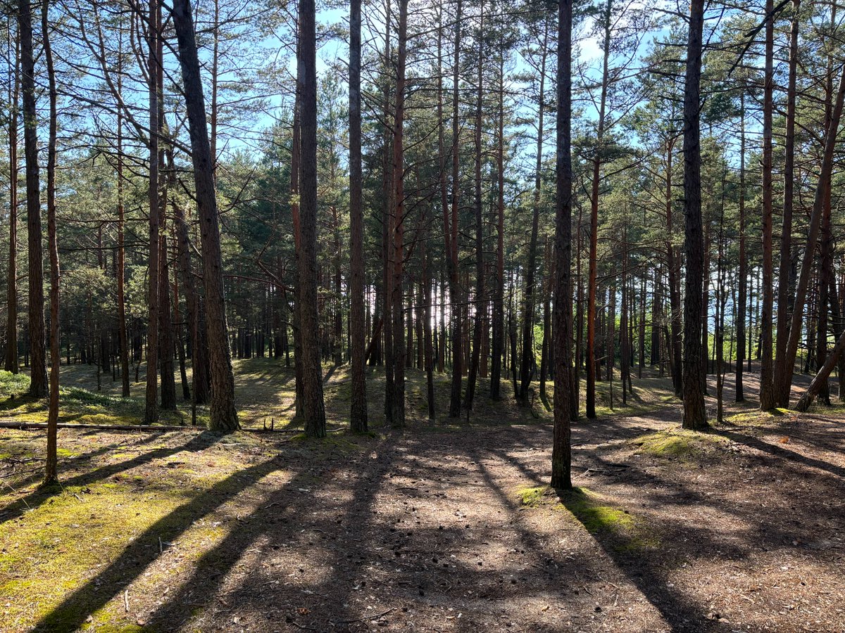 RockProject_'s tweet photo. Gm Friends!

Nature is perfect https://t.co/lQGVoO3dkG