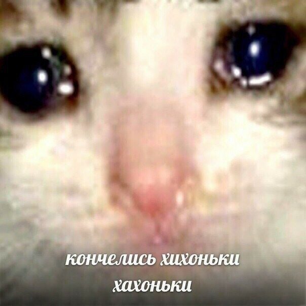 wfmbbah's tweet photo. заметила, что с приходом антидепрессантов в мою жизнь, все мои шутки стали тупорылыми и абсолютно не смешными https://t.co/NOyd7b94oK
