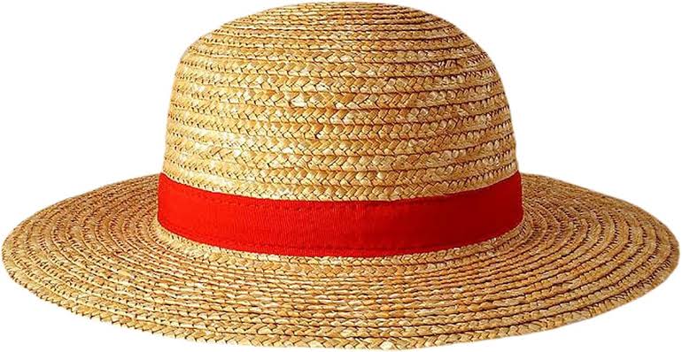 Theory by a Japanese fan (Fanta-san): The mixture of moon people and earth people is D (half moon). And if you look at the letter D from the side, it is the rising sun. It also looks like the shape of a *straw hat*. The captain of the Dawn Pirates is Joy Boy.💪