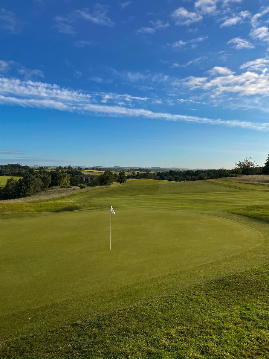 Turfgrass® tweet media