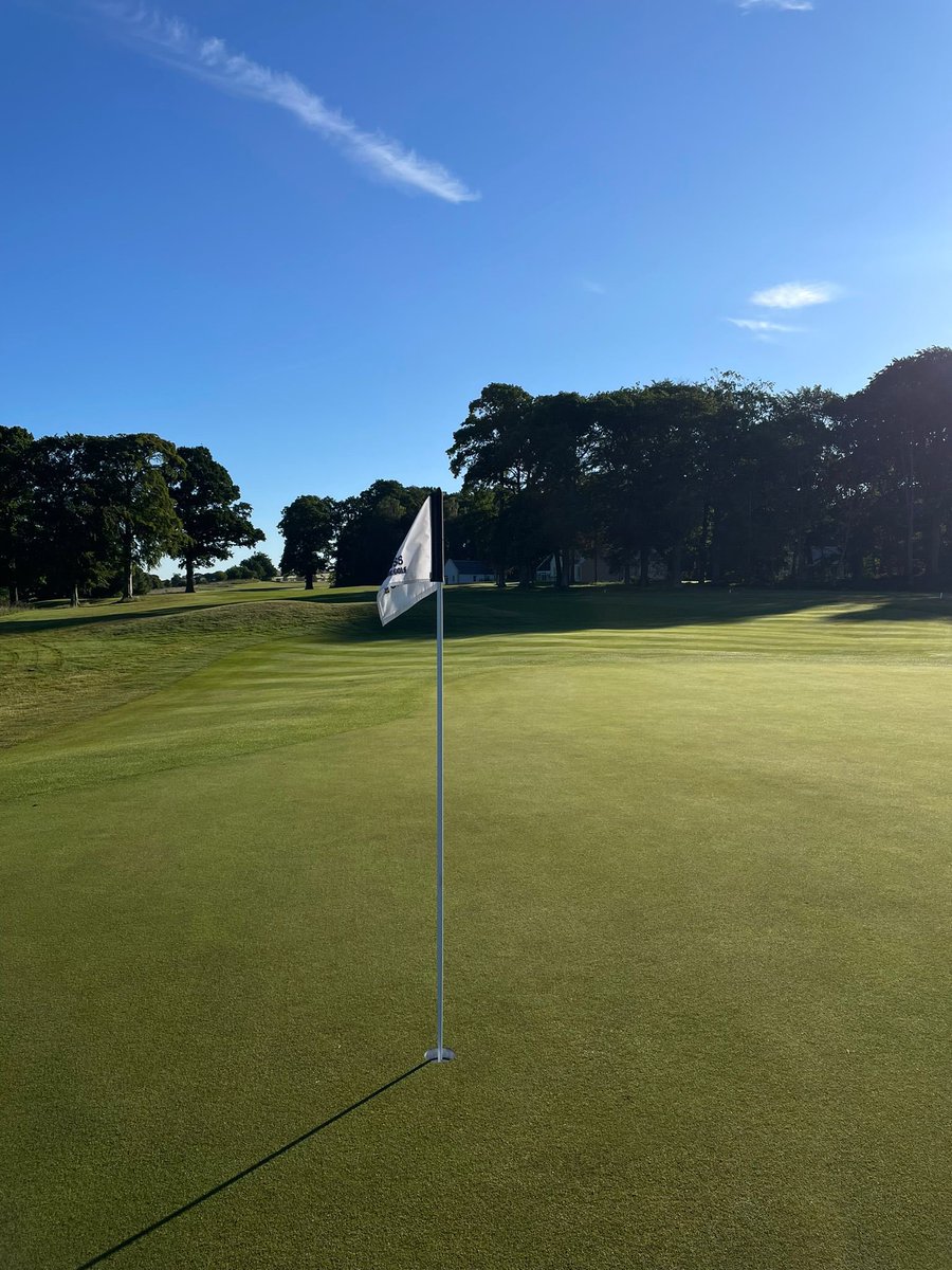 Turfgrass® tweet media