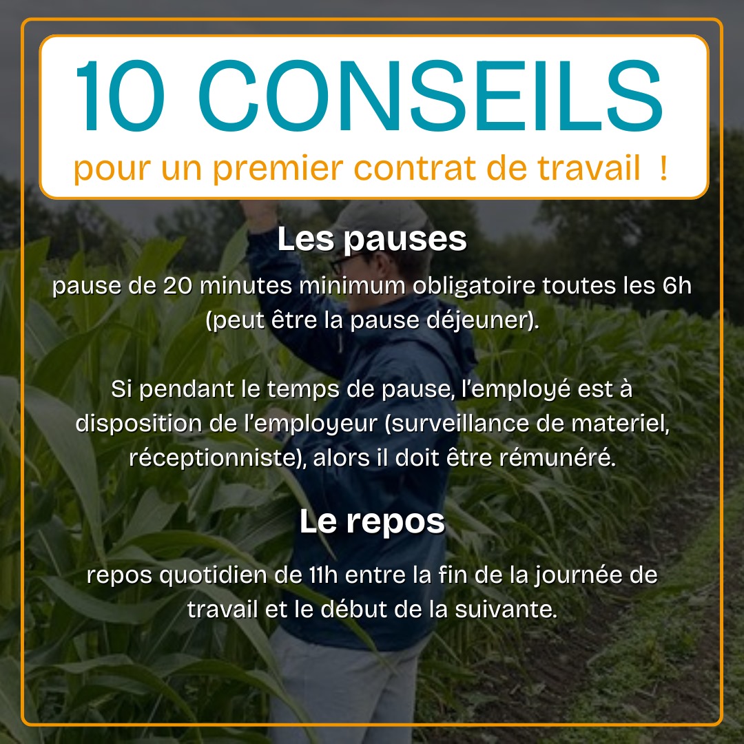 UnefBdx's tweet photo. Tu travailles cet été ?
Connais et fais respecter tes droits !
Un problème ?
L'@UNEF et @lacgtcommunique sont là pour t'accompagner !
#jobdete #saisonnier #etudiant #restauration https://t.co/dLs2HfIxc2