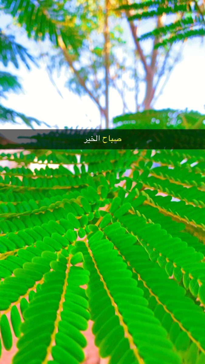 86xxm's tweet photo. #صباح_الخير_والسعاده https://t.co/6BqQXSnp0z