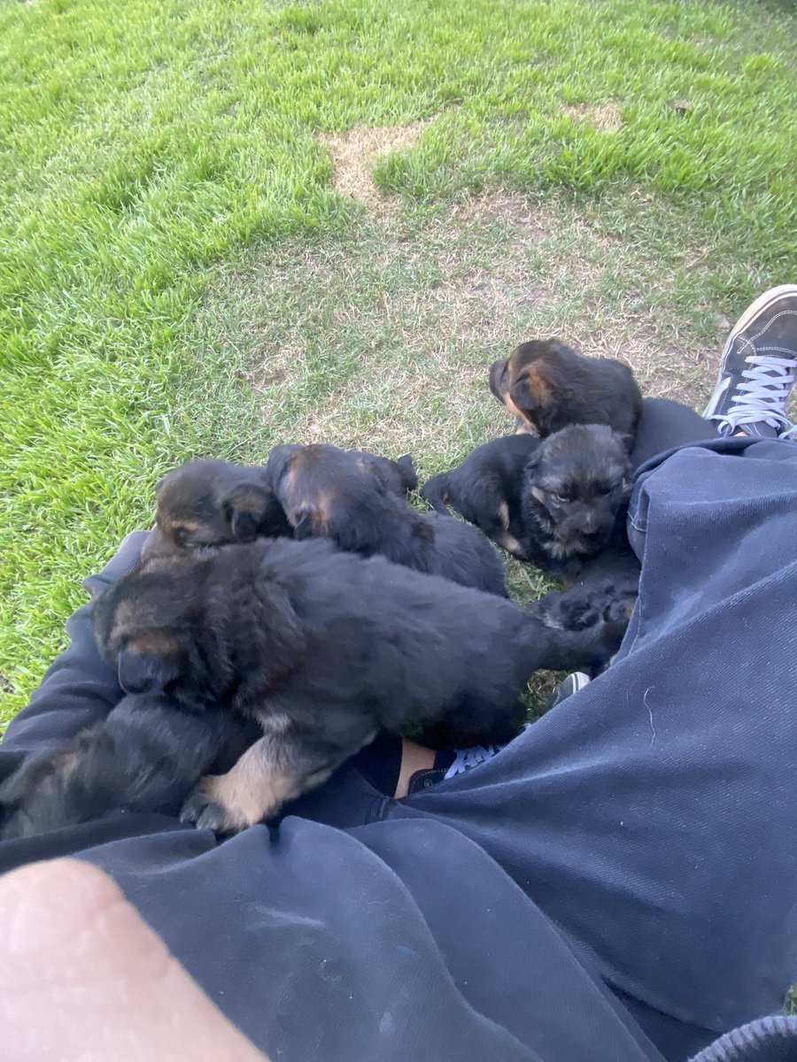 milimacedooo's tweet photo. 🥺🥺🥺🥺 https://t.co/evdtt5B0k5