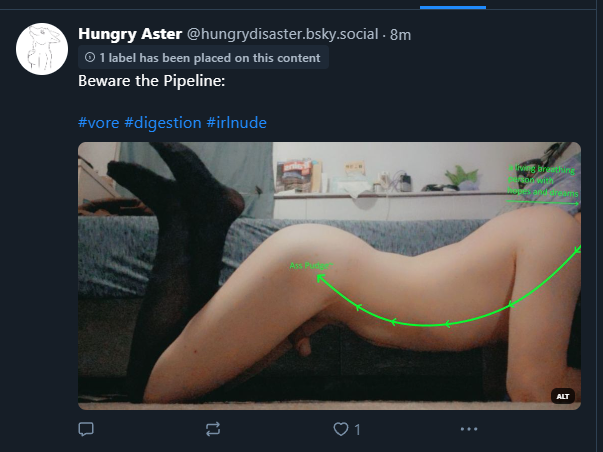 :3

bsky.app/profile/hungry…