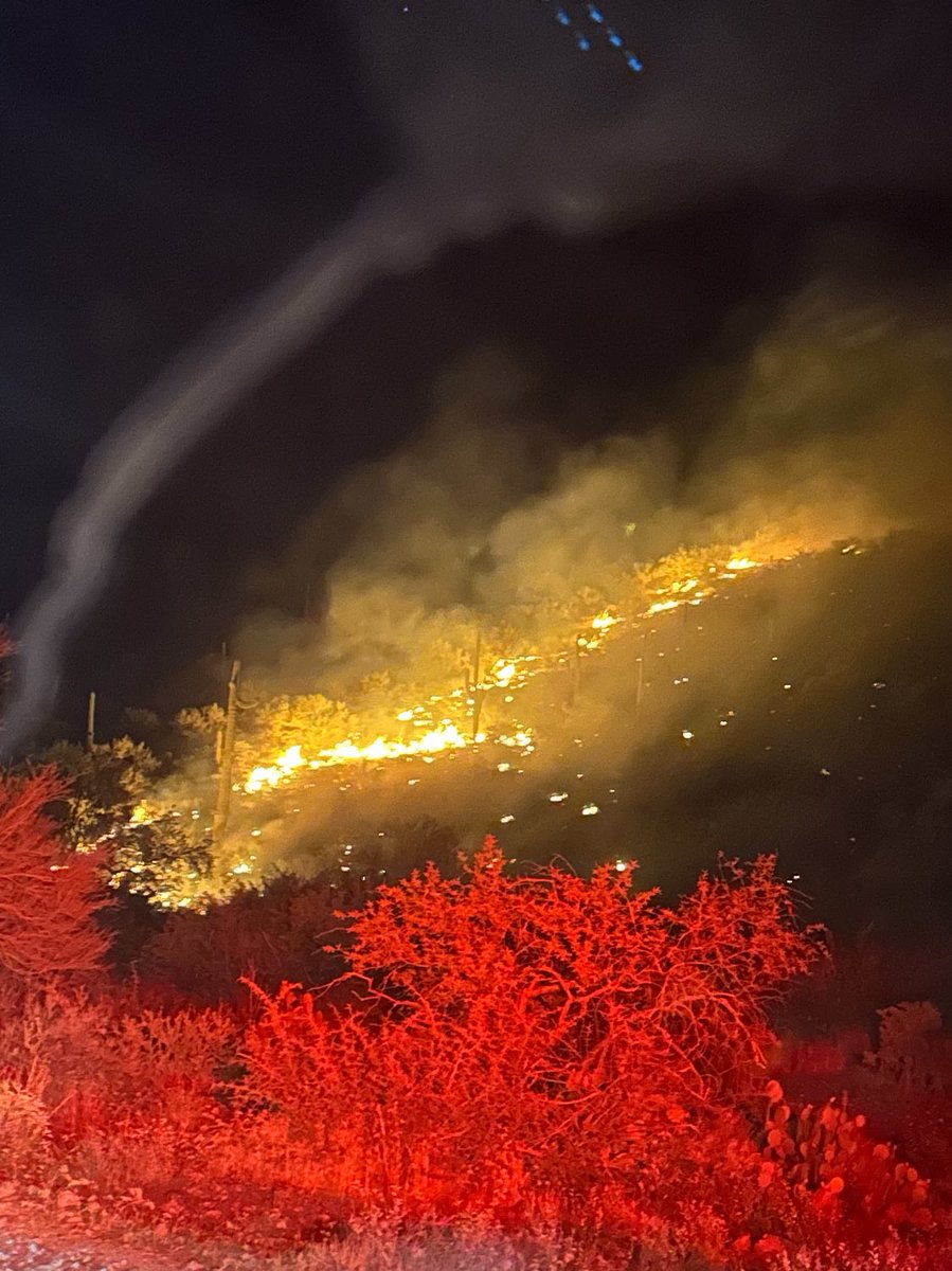 #ElephantFire - crews have line around fire &amp; stopped forward progress. 12 ac., decrease in acreage due to more accurate mapping. 

Crews cont. w/mop up. 

📍Fire loc. 1.5 mi. N Queen Valley

#AZFire #AZForestry #PinalCounty