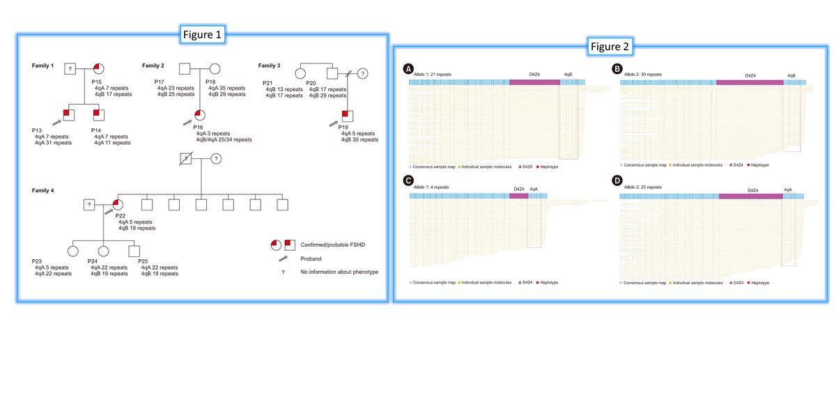 AnnLabMed's tweet photo. Clinical Application of Optical Genome Mapping for Molecular Diagnosis of Facioscapulohumeral Muscular Dystrophy
🌷https://t.co/Fi60D2uyS9 https://t.co/oME4QnHqHH