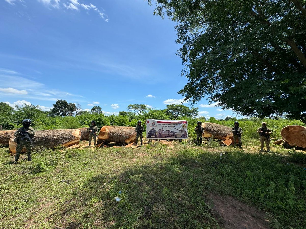Ejercito_Div1's tweet photo. En la vía que comunica a los municipios Villanueva y Urumita, #LaGuajira, soldados del Grupo de Caballería Mecanizado N.2 de la #DécimaBrigada, incautaron aproximadamente 22.500 kilogramos de madera de algarrobillo la cual fue entregada a @CORPOGUAJIRA. #PlanAmazonía https://t.co/r9QAdjv8M0