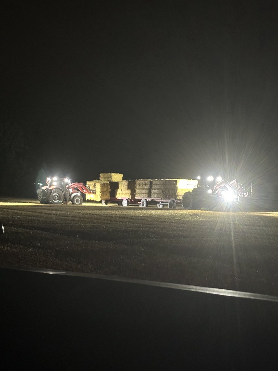 eyrefarms_ralph's tweet image. First day of Straw with rain in the forecast means “keeper going”
#harvest2024 #greatcrew