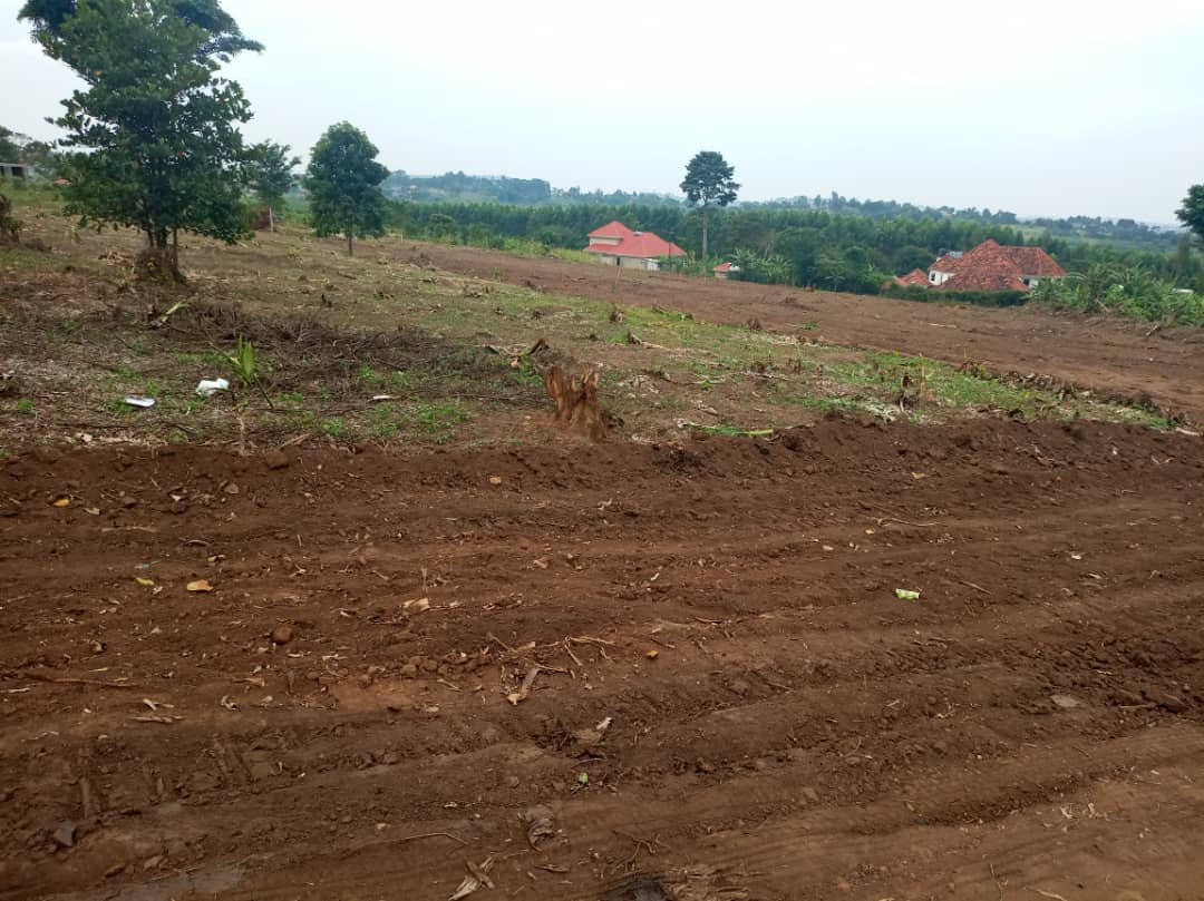 _antonio256's tweet photo. #PraisePropertyConsults
NEW PRIME ESTATE ON SALE

Located just 1.5km from Kakiri town,with access to water &amp; electricity.

Each 50*100ft at only UGX 20m. We accept installments.

All plots have land titles 

Call/WhatsApp 
0706147006/0783821918 https://t.co/OtzbROTccg
