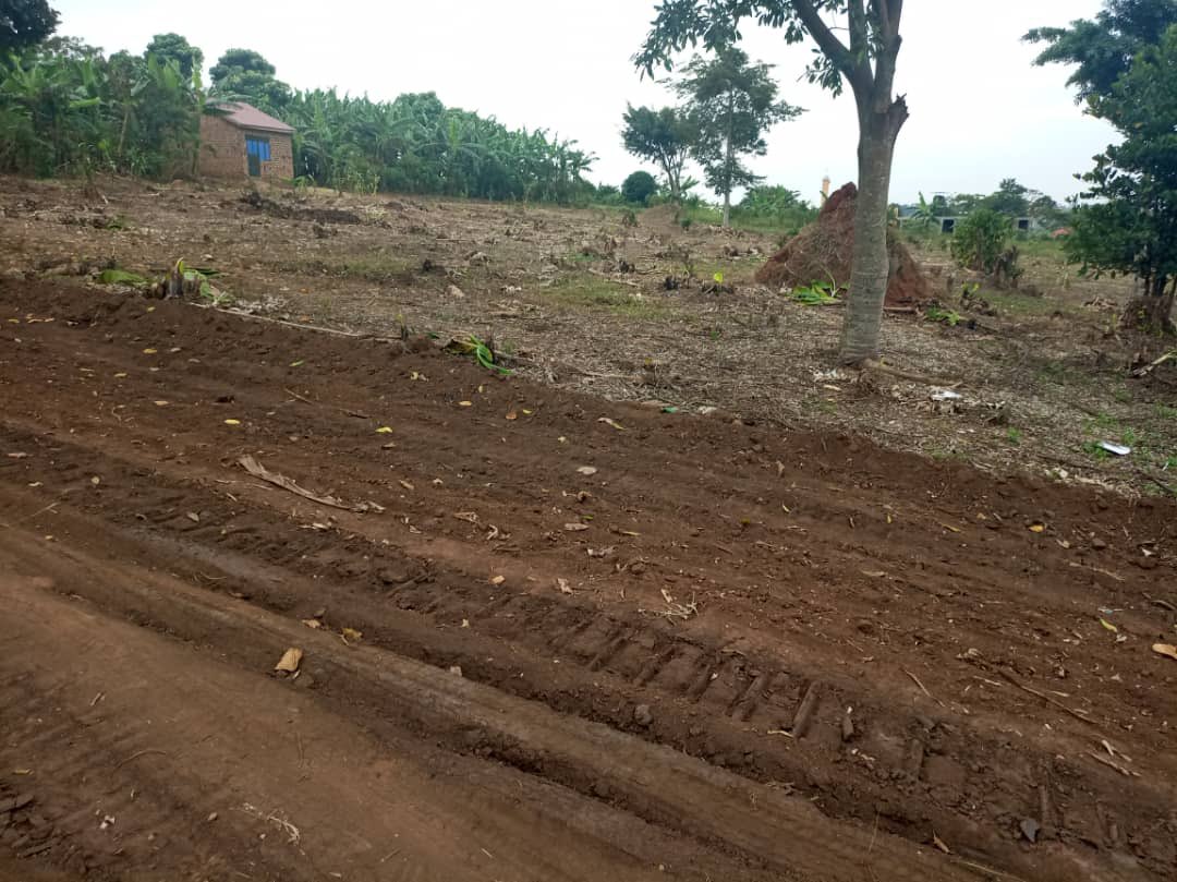 _antonio256's tweet photo. #PraisePropertyConsults
NEW PRIME ESTATE ON SALE

Located just 1.5km from Kakiri town,with access to water &amp; electricity.

Each 50*100ft at only UGX 20m. We accept installments.

All plots have land titles 

Call/WhatsApp 
0706147006/0783821918 https://t.co/OtzbROTccg