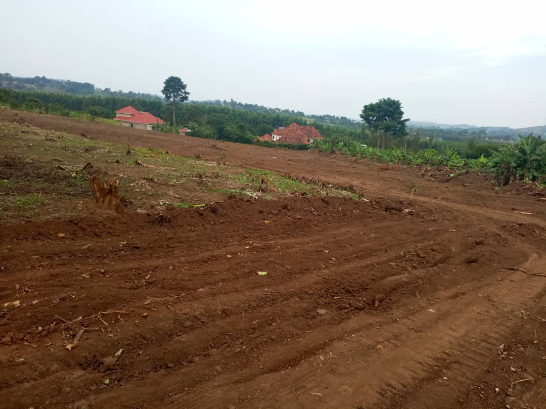 _antonio256's tweet photo. #PraisePropertyConsults
NEW PRIME ESTATE ON SALE

Located just 1.5km from Kakiri town,with access to water &amp; electricity.

Each 50*100ft at only UGX 20m. We accept installments.

All plots have land titles 

Call/WhatsApp 
0706147006/0783821918 https://t.co/OtzbROTccg