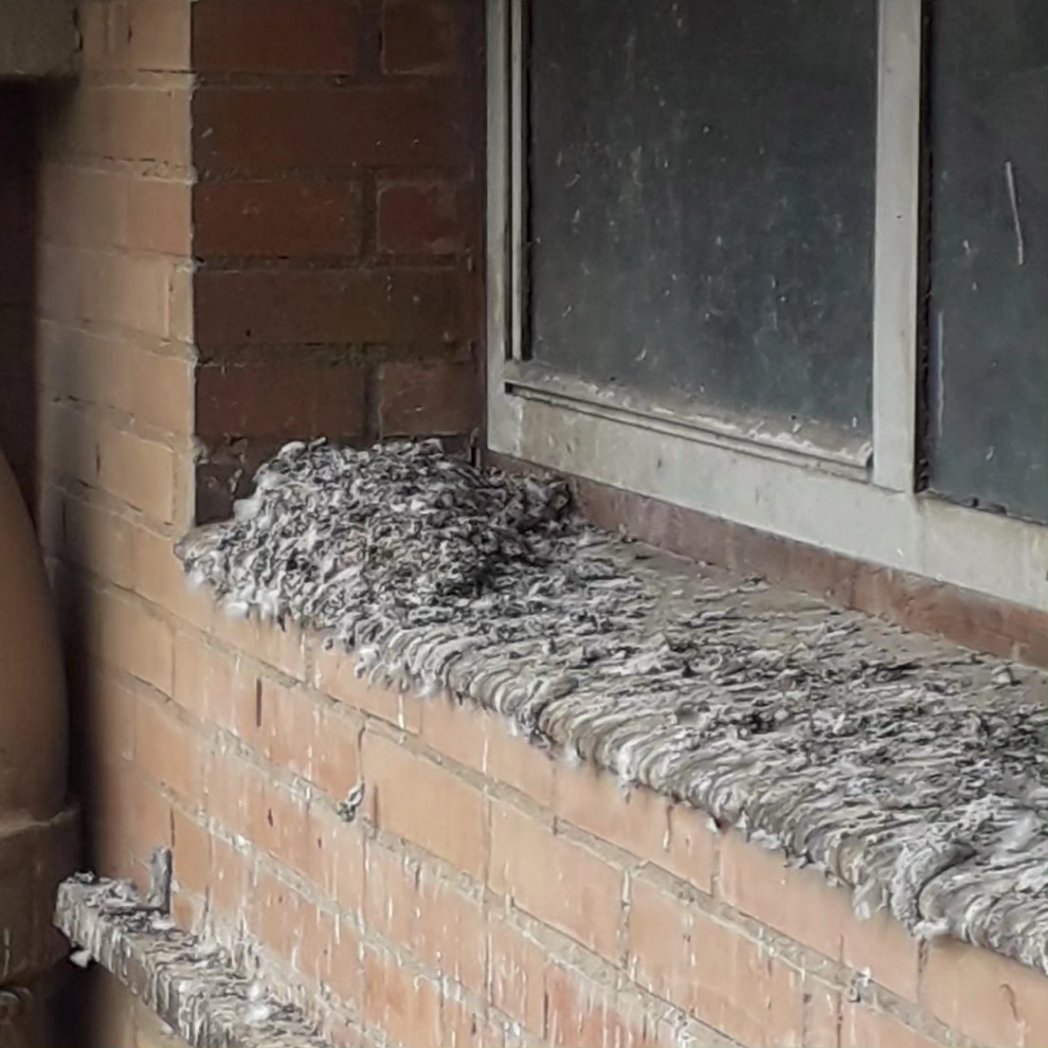 <a href="/Albiol_XG/">Xavier García Albiol</a> Estupendo! Al Botey també us esperem! Ja sabeu que anem sobrats d'excrements de colom a totes les finestres de l'escola entre d'altres desperfectes de la llista. No ens heu dit quan veniu...🗓️
#mantenimentonets🏗️👷🏻‍♀️🚧
<a href="/Albiol_XG/">Xavier García Albiol</a> 
@FampasBadalona 
<a href="/AfaBotey/">AFA Antoni Botey</a> 
<a href="/avstantoni/">AV Sant Antoni Llefià</a>