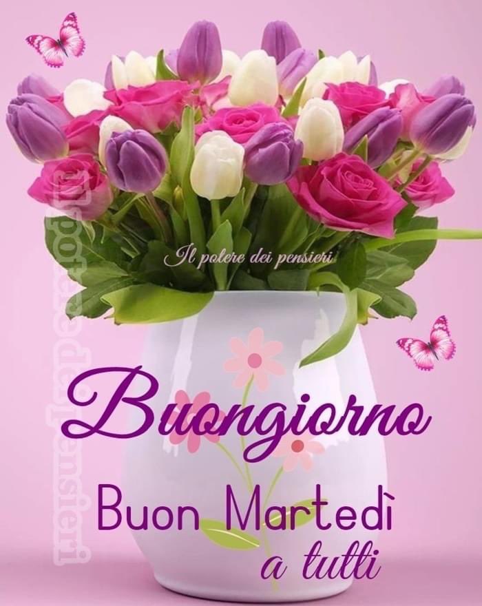 RITABIANCHi56 tweet media