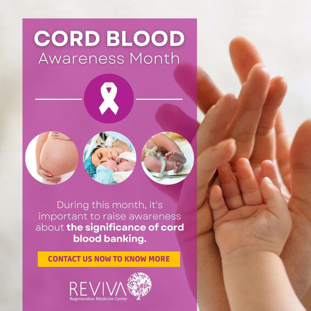 charbelkhalil2's tweet photo. #cordblood https://t.co/XRK8f7vf9W