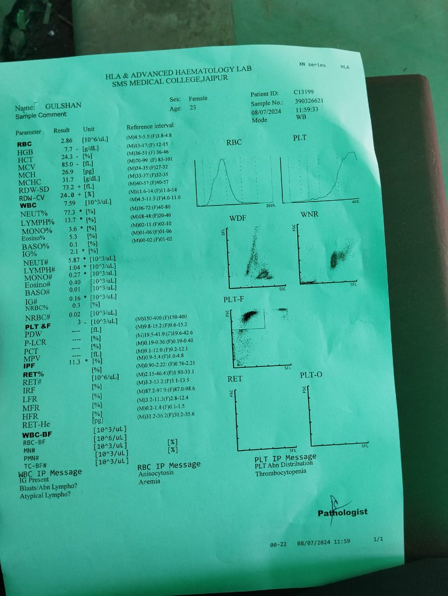 DadhichVr's tweet photo. Urgent 
A+ donor required at SMS hospital jaipur patient is in critical condition contact 6377271345
@BloodDonorsIn @RavindraBhati__ @VasundharaBJP @MoHFW_INDIA https://t.co/WuKvgeOwpH