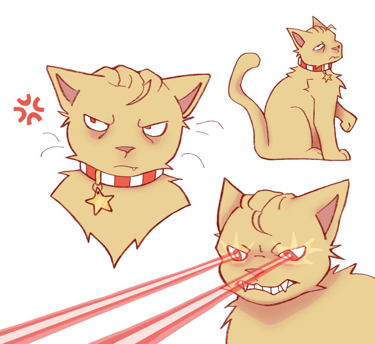 catlander has been collared…