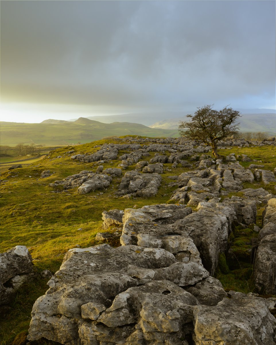 yorkshire_dales's tweet photo. #Winskill Stones Nature Reserve lies above #Stainforth. It's home to an amazing section of limestone pavement π
Gardener Geoff Hamilton supported the campaign to stop people from buying limestone pavement to make rockeries. @Love_plants dedicated the reserve to his memory π https://t.co/wdSiuveDVv
